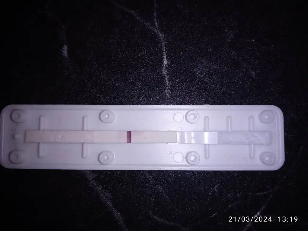 D3FE7377-899F-4010-B860-A5A08F3D68BC.webp