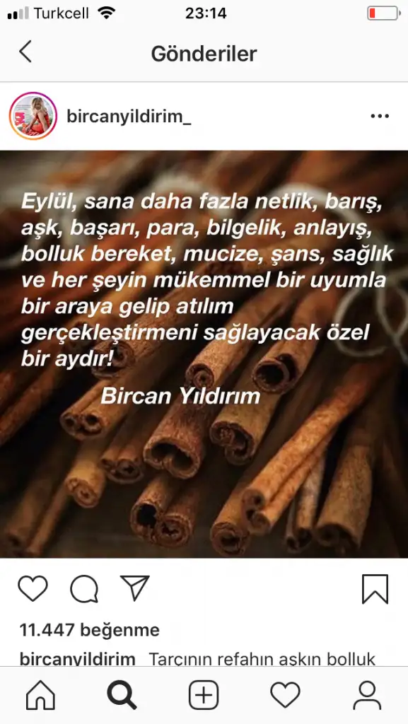 D6EB8B6A-5B04-4670-B28D-BBE25BAF5397.webp
