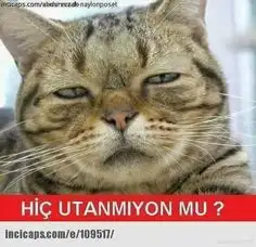 d76177918c449cc519e043e97bb1bc24.webp