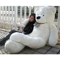 D8835572-590B-4FAB-8884-35671049399A.webp