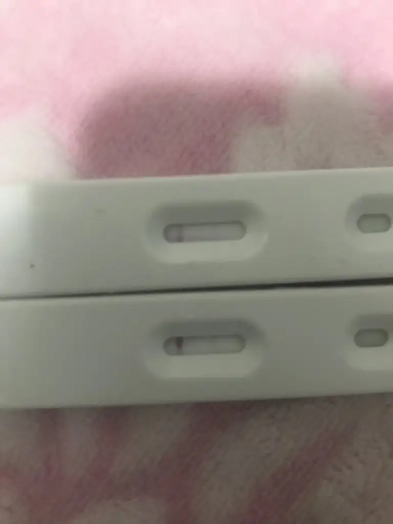D8C6C478-3580-4002-9362-58CCC7960188.webp