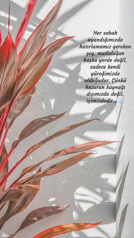 d8ebd725c1e08d73cb897314af97ae9a.webp