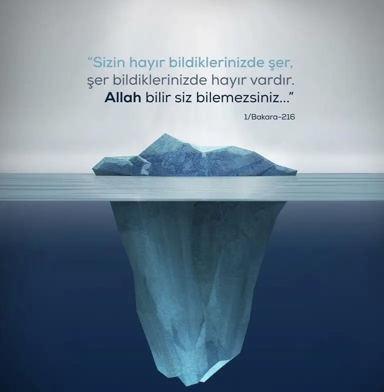 D96570C0-DF19-4730-B89A-E386BA624214.webp