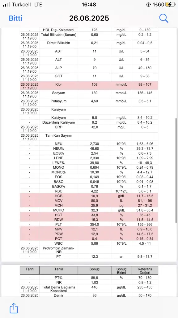 DAC7069E-C75D-451F-94F8-55551560F4B6.webp