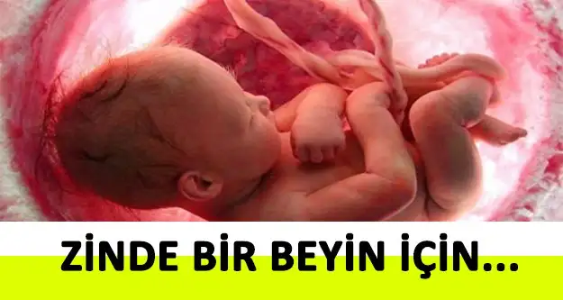 daha-zinde-beyin-icin-8-oneri-1.webp