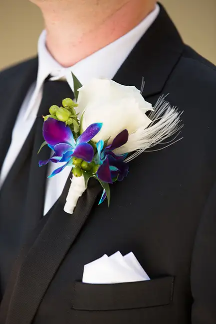 damat (2).webp