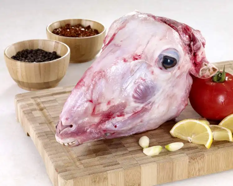dana-kellesi-yuzmek-1420.webp