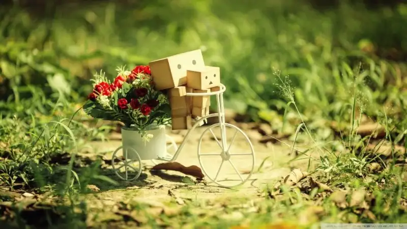 danbo_baby-wallpaper-1024x576.webp