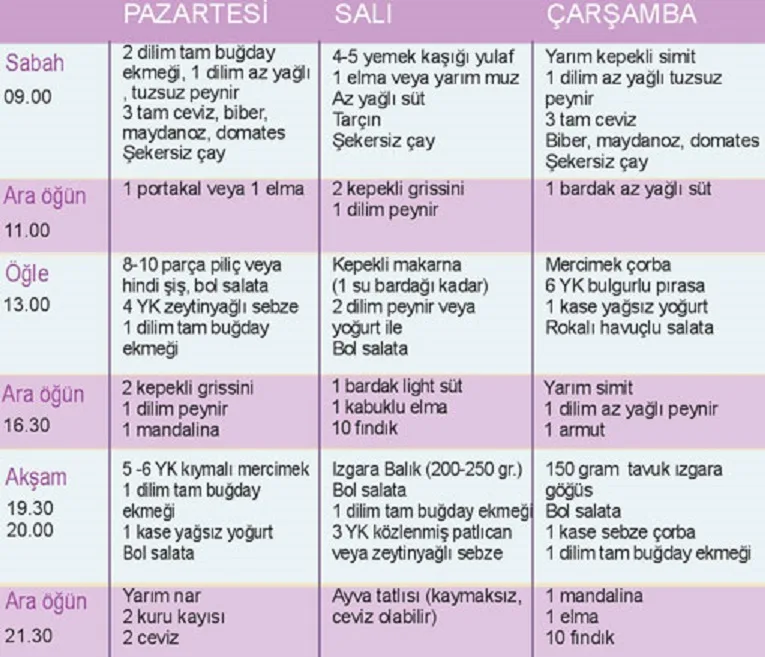dash_diyet_listesi_1