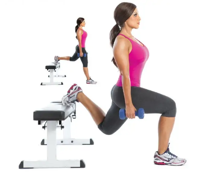 DB-Bulgarian-Split-Squat.webp