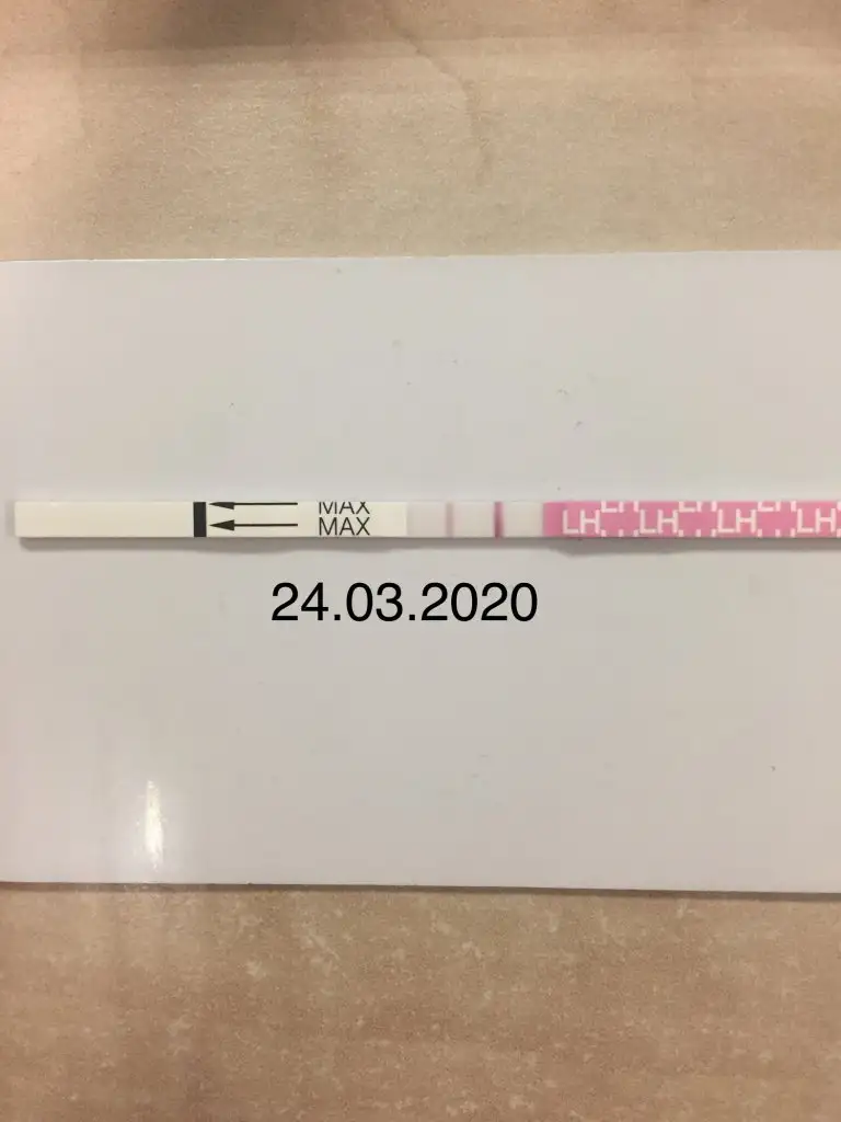 DC2357E4-8A23-4E50-B175-E62205EE82D9.webp