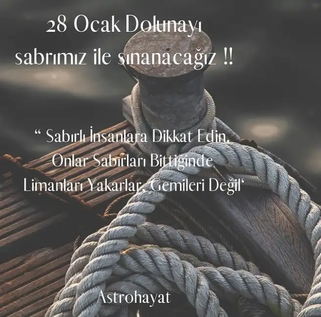 dd.webp