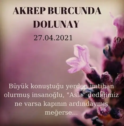 dd.webp