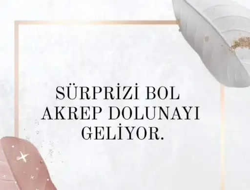 dd.webp