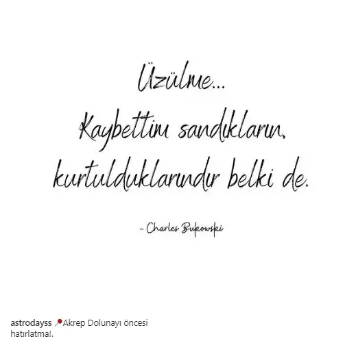 dd.webp