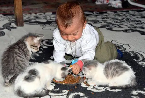 dd68d3132_1167.webp
