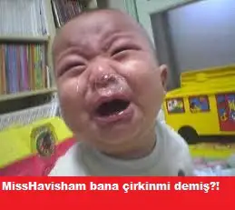 DDF.webp