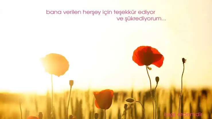 DE5917D0-A27B-41C8-BDDD-94DA6DB17571.webp