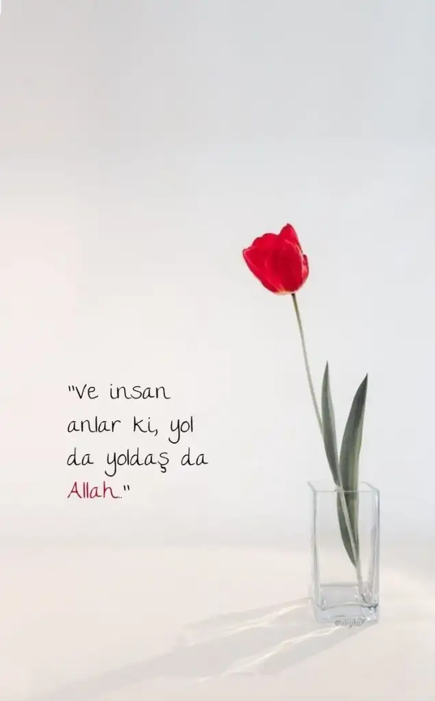 deb7c783617c1cfcb09d9a38edb5f6af.webp