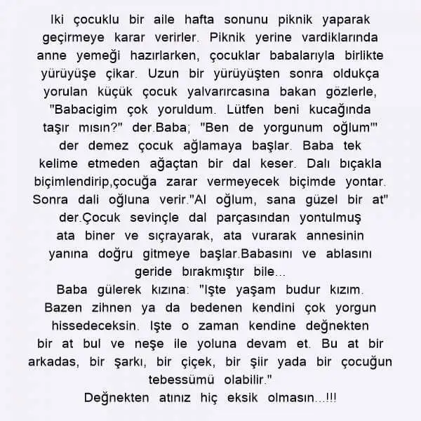 degnek.webp