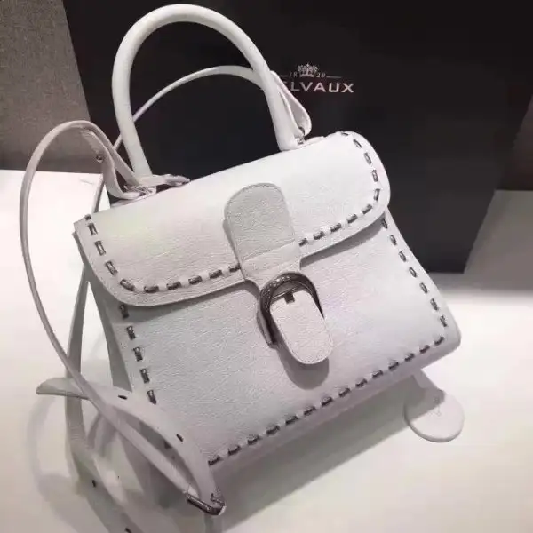 delvaux_2018_brillant_mm_crispy_1494575336_36b65ad1.webp