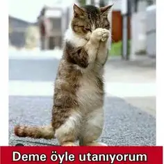 deme öyle utanıyorum.webp