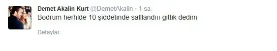 demet_akalin_deprem_tweet.webp