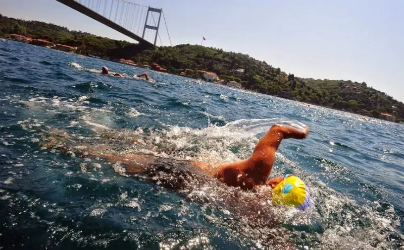 denizde yüzdügünü görmek.webp
