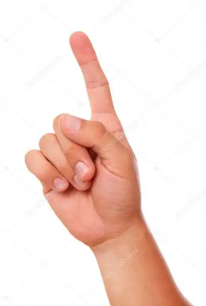 depositphotos_5101346-stock-photo-hand-and-fingers.webp