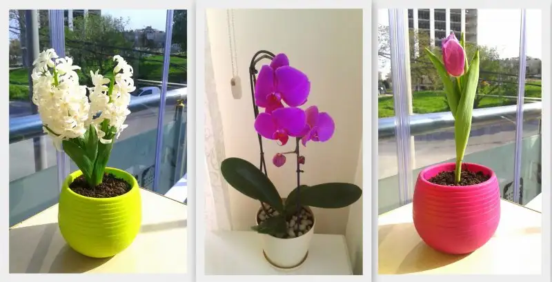 Desktop5-002.webp