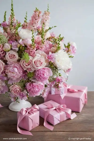 df114c5ff0d08913ef182597b0621723.webp