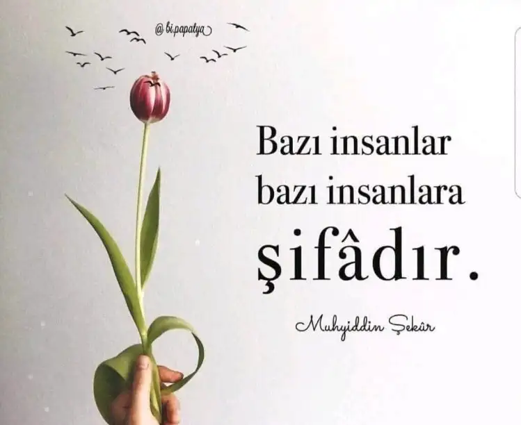 DF31BACB-6F19-4B52-B8A4-5C49B66FC93C.webp