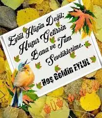DF45BE04-13AB-431B-BD77-FBDE96BB228D.webp