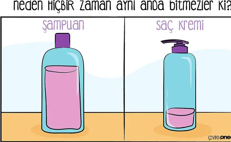 dfdhfjgk.webp