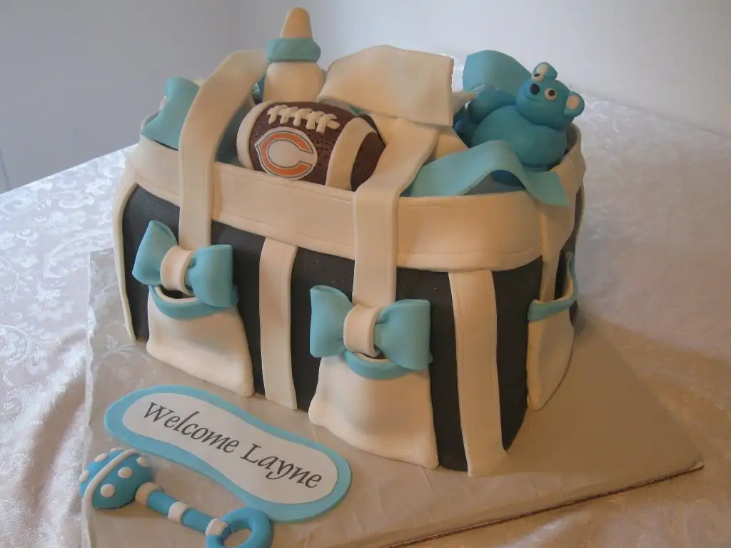 Diaper-Bag-Cakes-11.webp