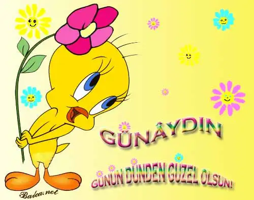 dilek10002.webp