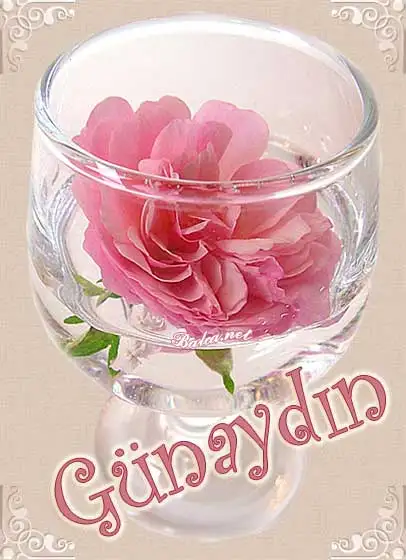 dilek10020[1].webp