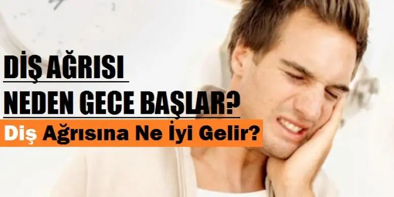 dis-agrisi-sebeeri_7f6ffdaf29a6dc5677b0.webp