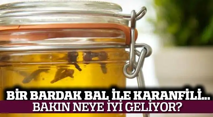dis_Agrisi_karanfil_bal.webp