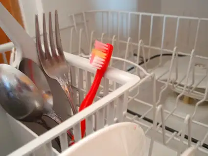 dishwasher-toothbrushes.webp