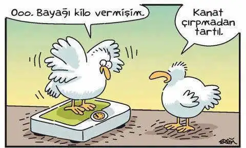 diyet-karikaturleri-2.webp