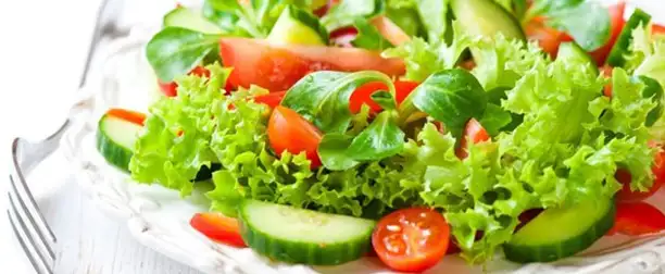 diyet-salata.webp