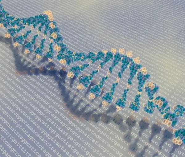 DNA-altıncı-baz.webp