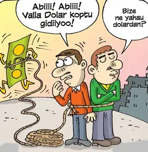 doalr.webp