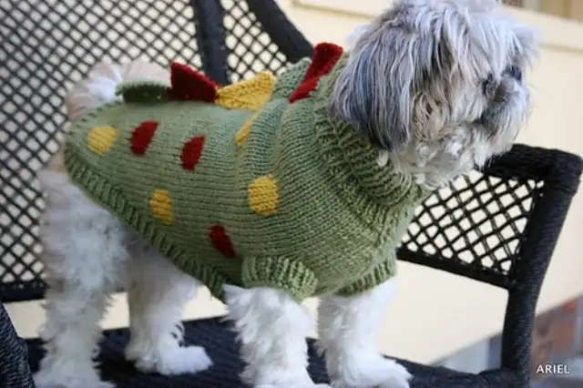 dog-sweater.webp
