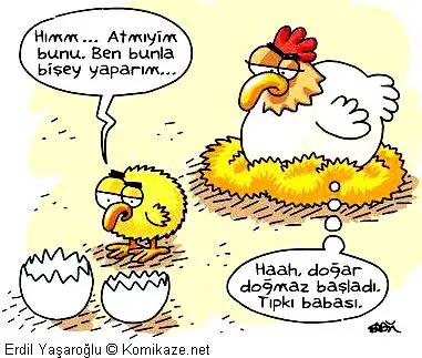 dogar dogmaz basladi tipki babasi.webp