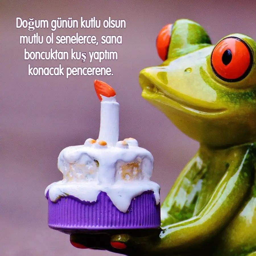 dogum-gunun-kutlu-olsun-komik.webp