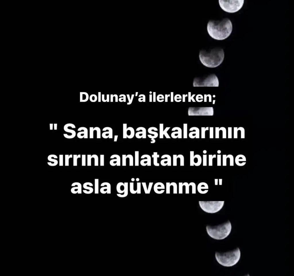 dolun.webp