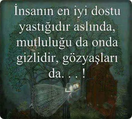 dost.webp
