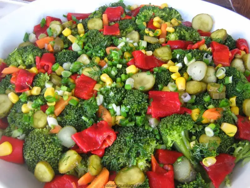downloadfile-1.webp